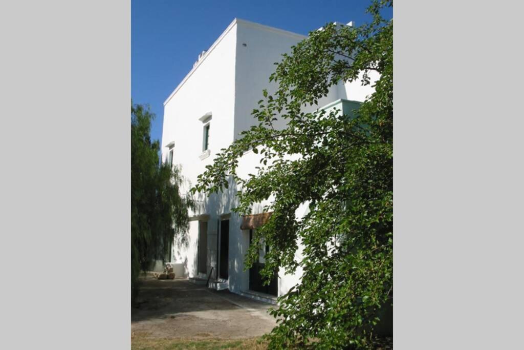 Casa Colonica Villa Gallipoli Eksteriør bilde
