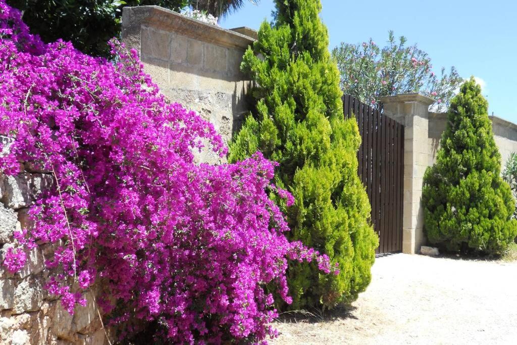 Casa Colonica Villa Gallipoli Eksteriør bilde