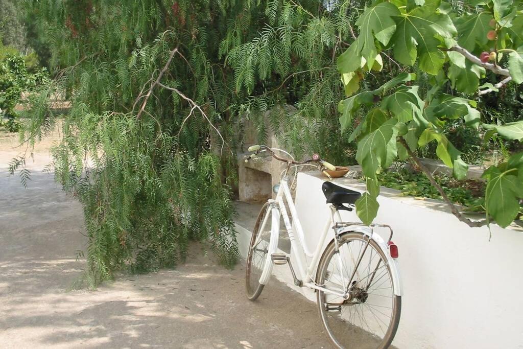Casa Colonica Villa Gallipoli Eksteriør bilde